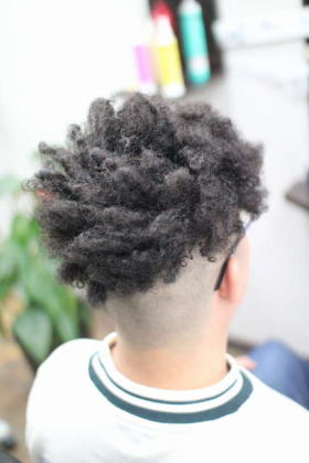 �{���T���[�m�p�[�}�@�{���T���[�m�A�t���@�{���T���[�m�w�A