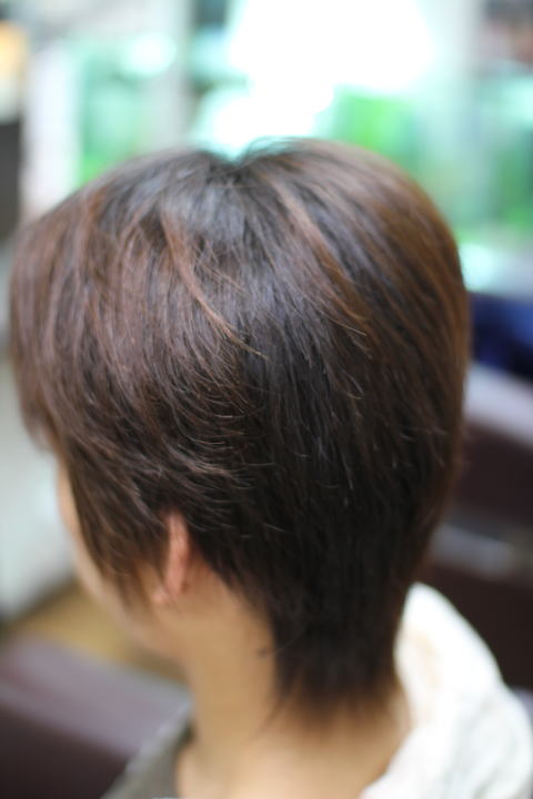 �k�ы����@���s�@�`���`���@�r�r��