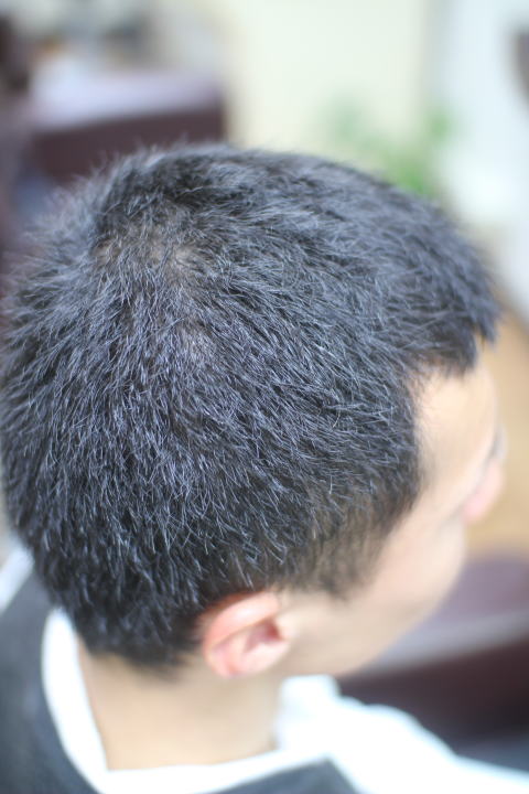 �Z���@���@�Ȗс@���キ�������傤����