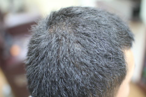 �Z���@���@�Ȗс@���キ�������傤����