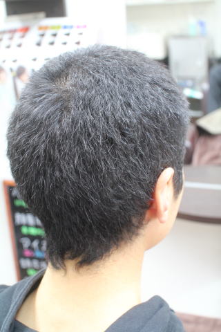 �Z���@���キ�������傤����