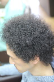 �A�t���@���������@�c�C�X�g�p�[�}�@�X�p�C�����p�[�}�@���ӂ�@�p�[�}�@