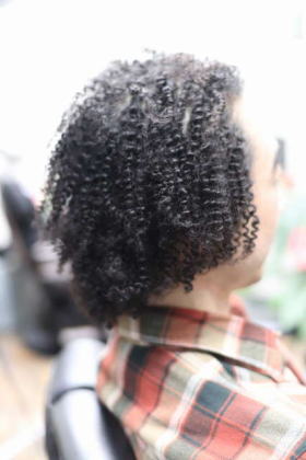 �X�p�C�����p�[�}�@�X�p�C�����A�t���@Afro�@�A�t���w�A�@�A�t���p�[�}