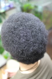 �A�t���@�A�t���w�A�@�A�t���w�A�[�@�A�t���p�[�}�@afro�@