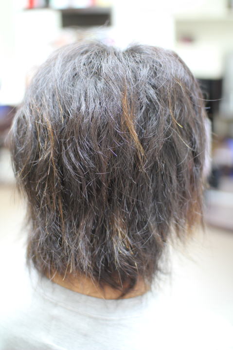 �h�蕪���@�k�ы���