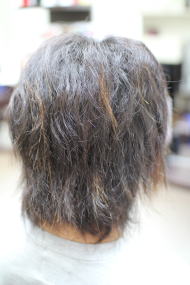 �ѐ�͊��S�K�[�h