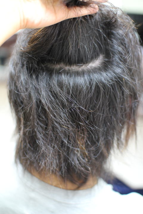 �h�蕪���@�k�ы���