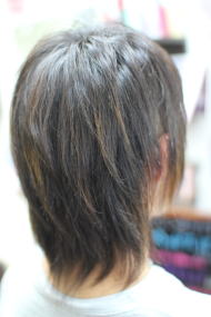 �ѐ�͊��S�K�[�h