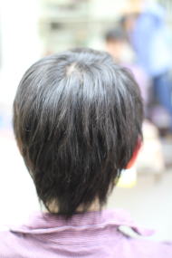 ���R�ɐL�΂��܂���