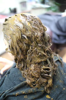 �w�i�ƃC���f�B�S�̂Q�����