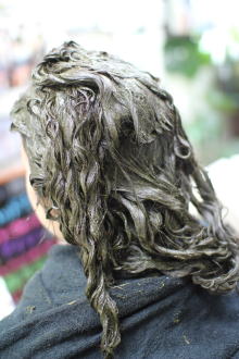 �w�i�ƃC���f�B�S�̂Q�����