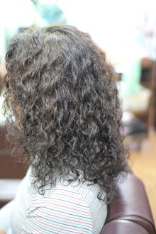 �w�i�ƃC���f�B�S�̂Q�����