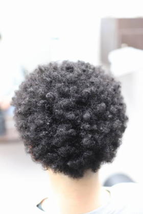 �ыʃA�t���@�{���T���[�m�w�A�@�{���T���[�m�p�[�}�@�{���T���[�m�A�t��