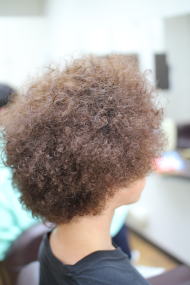 �A�t���@���������@�c�C�X�g�p�[�}�@�X�p�C�����p�[�}�@���ӂ�@�p�[�}�@