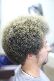 �A�t���@�A�t���w�A�@�A�t���w�A�[�@�A�t���p�[�}�@afro�@