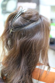 �ѐ�͖�܂�t���Ȃ��H�k�ы���