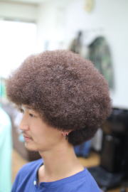 �A�t���@�A�t���w�A�@�A�t���w�A�[�@�A�t���p�[�}�@afro�@