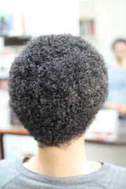 �A�t���@�A�t���w�A�@�A�t���w�A�[�@�A�t���p�[�}�@afro�@