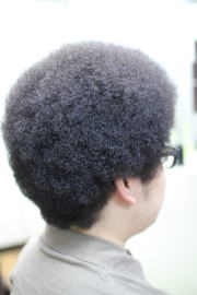 �A�t���@�A�t���w�A�@�A�t���w�A�[�@�A�t���p�[�}�@afro�@