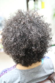 ���ӂ�A�t���@���q�A�t���@�A�t�����q