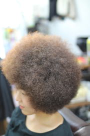 �A�t���@�A�t���w�A�@�A�t���w�A�[�@�A�t���p�[�}�@afro�@