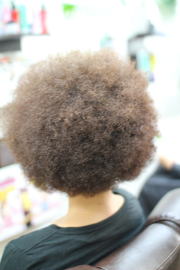 �A�t���@�A�t���w�A�@�A�t���w�A�[�@�A�t���p�[�}�@afro�@