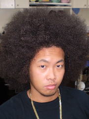 �A�t���@�A�t���w�A�@�A�t���w�A�[�@�A�t���p�[�}�@afro�@