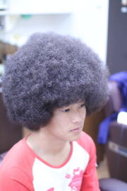 �A�t���@�A�t���w�A�@�A�t���w�A�[�@�A�t���p�[�}�@afro�@