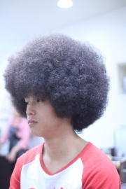 �A�t���@�A�t���w�A�@�A�t���w�A�[�@�A�t���p�[�}�@afro�@